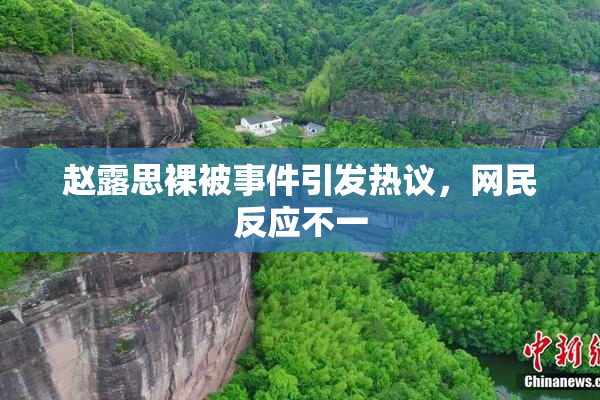 赵露思裸被事件引发热议，网民反应不一