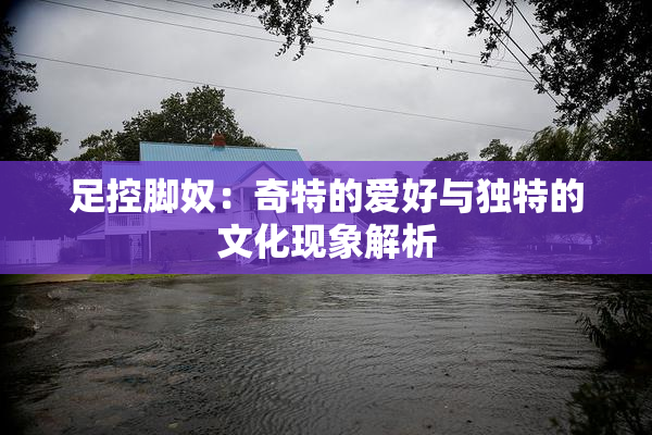 足控脚奴：奇特的爱好与独特的文化现象解析