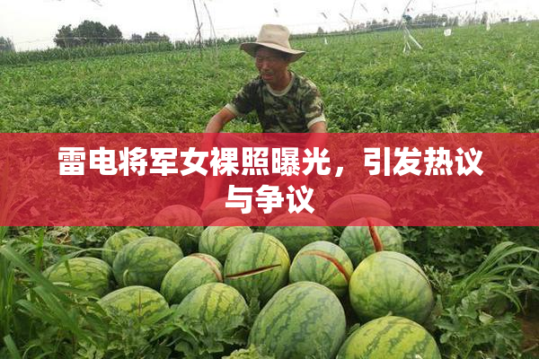雷电将军女裸照曝光，引发热议与争议