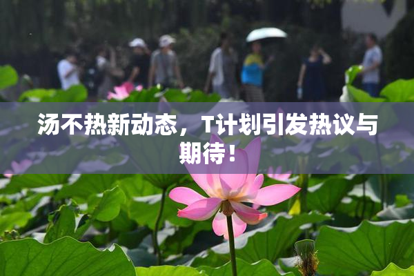 汤不热新动态，T计划引发热议与期待！