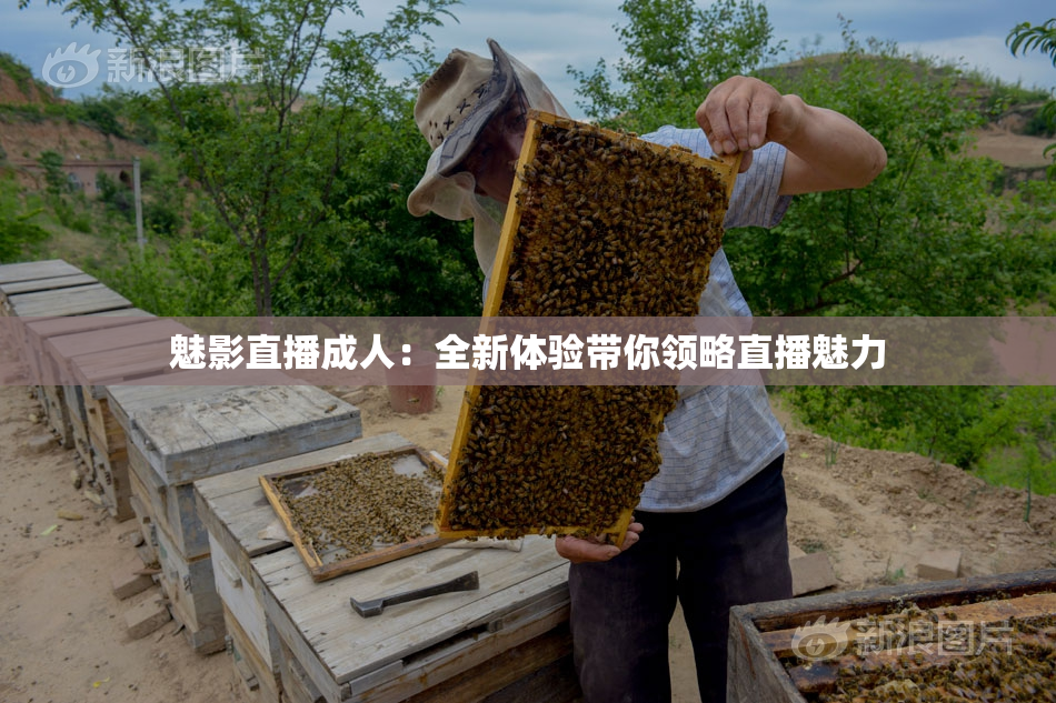 魅影直播成人：全新体验带你领略直播魅力