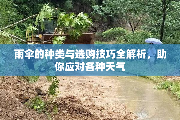 雨伞的种类与选购技巧全解析，助你应对各种天气