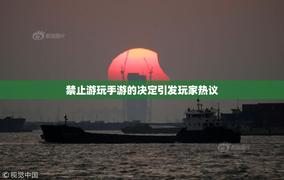 禁止游玩手游的决定引发玩家热议