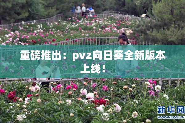 重磅推出：pvz向日葵全新版本上线！