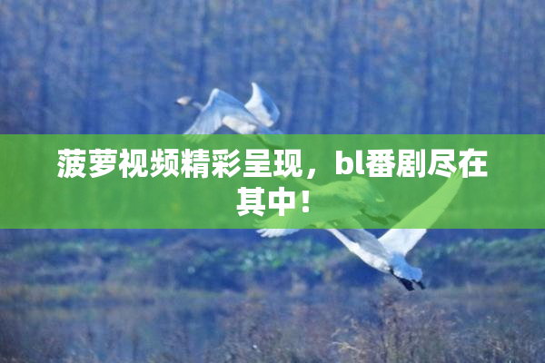 菠萝视频精彩呈现，bl番剧尽在其中！