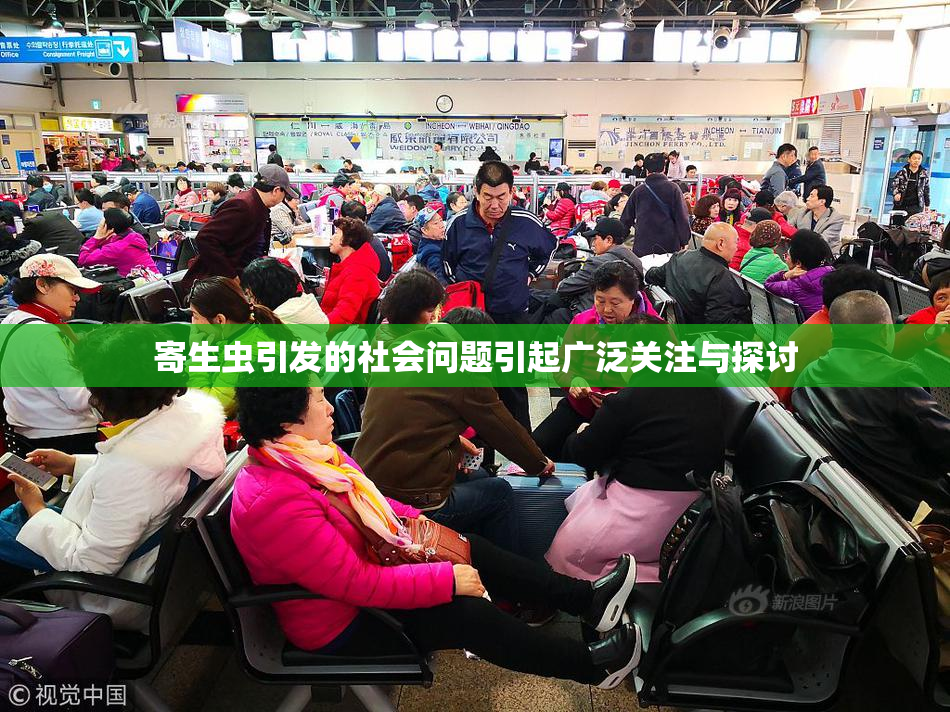 寄生虫引发的社会问题引起广泛关注与探讨