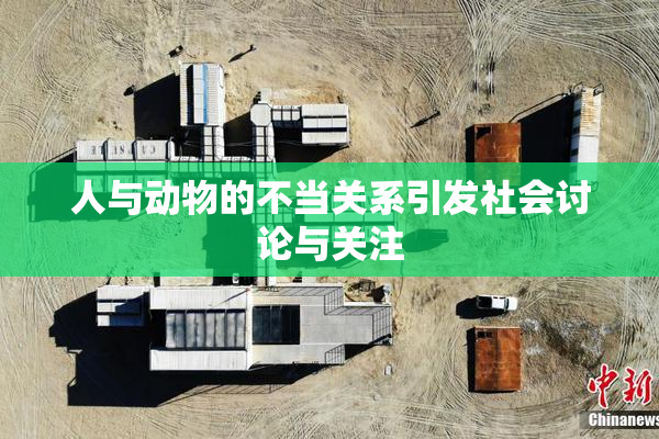 人与动物的不当关系引发社会讨论与关注