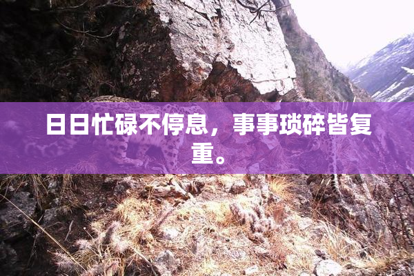 日日忙碌不停息，事事琐碎皆复重。