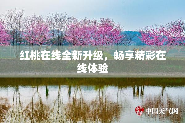 红桃在线全新升级，畅享精彩在线体验