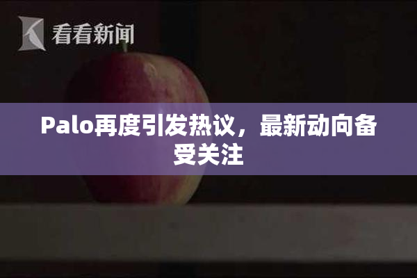 Palo再度引发热议，最新动向备受关注