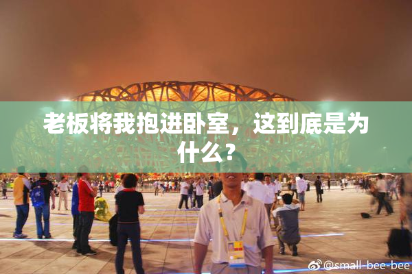 老板将我抱进卧室，这到底是为什么？