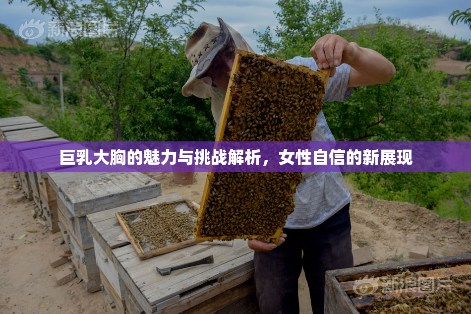 巨乳大胸的魅力与挑战解析，女性自信的新展现