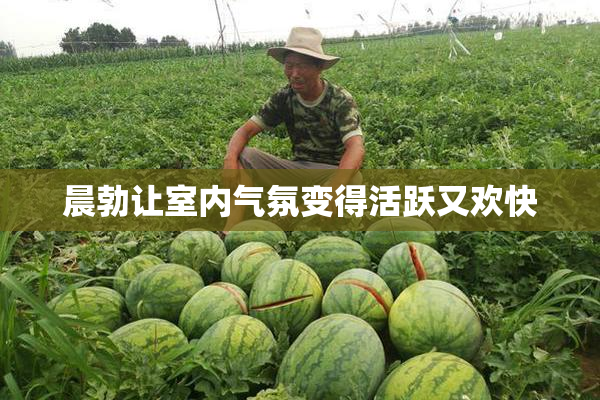 晨勃让室内气氛变得活跃又欢快