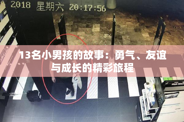 13名小男孩的故事：勇气、友谊与成长的精彩旅程