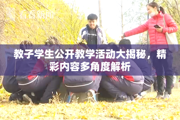 教子学生公开教学活动大揭秘，精彩内容多角度解析