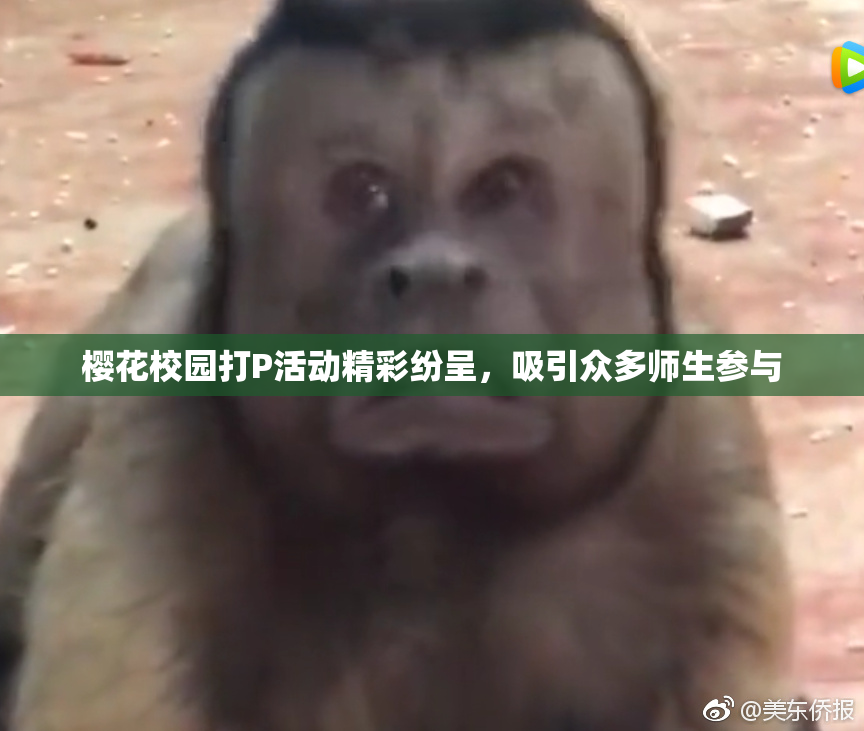 樱花校园打P活动精彩纷呈，吸引众多师生参与
