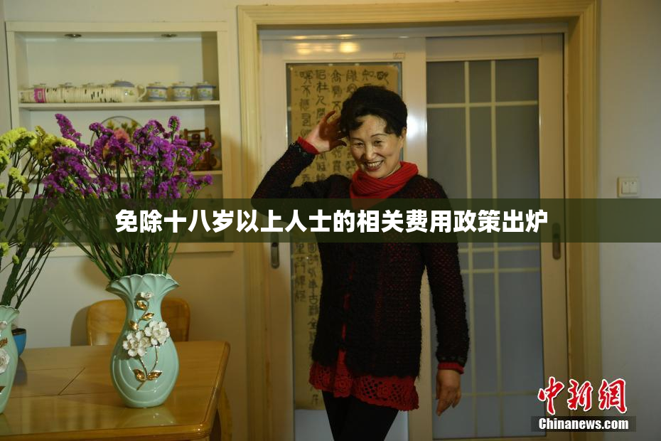 免除十八岁以上人士的相关费用政策出炉