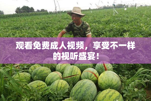 观看免费成人视频，享受不一样的视听盛宴！