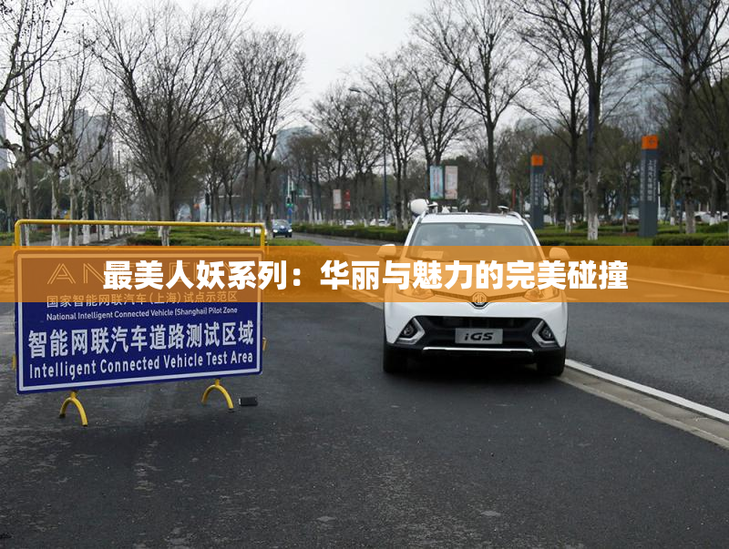 最美人妖系列：华丽与魅力的完美碰撞