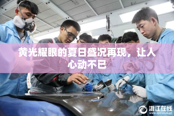 黄光耀眼的夏日盛况再现，让人心动不已