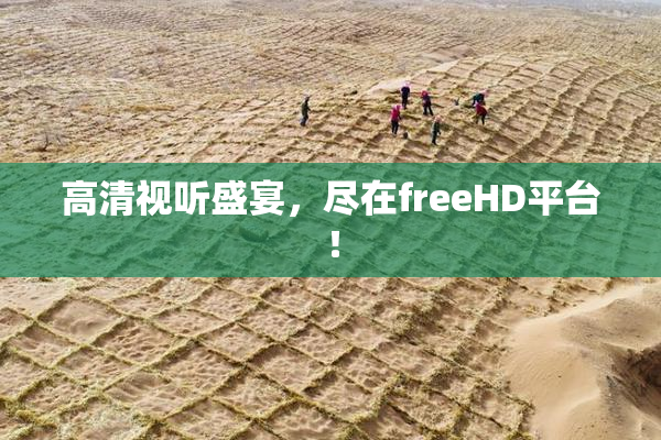 高清视听盛宴，尽在freeHD平台！