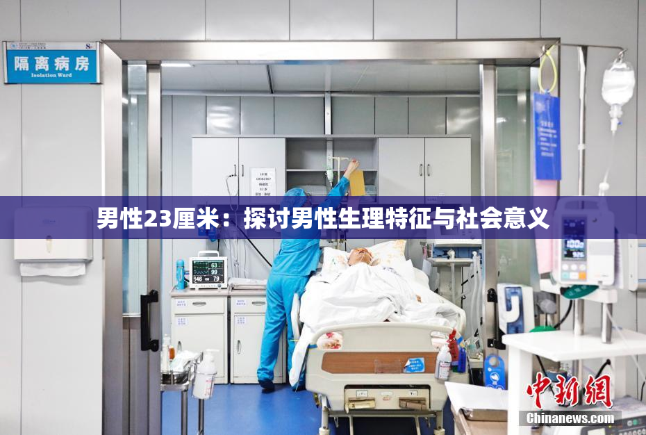 男性23厘米：探讨男性生理特征与社会意义