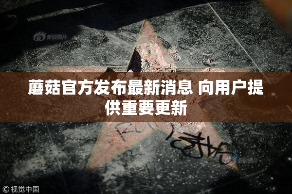 蘑菇官方发布最新消息 向用户提供重要更新