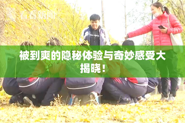 被到爽的隐秘体验与奇妙感受大揭晓！