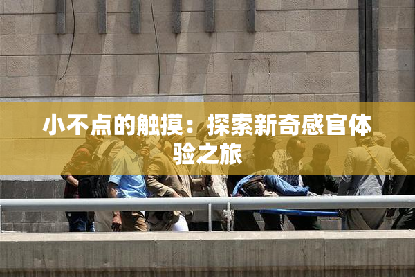 小不点的触摸：探索新奇感官体验之旅