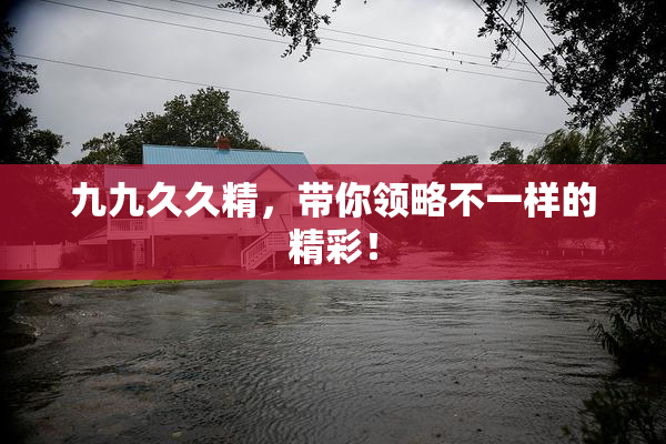 九九久久精，带你领略不一样的精彩！