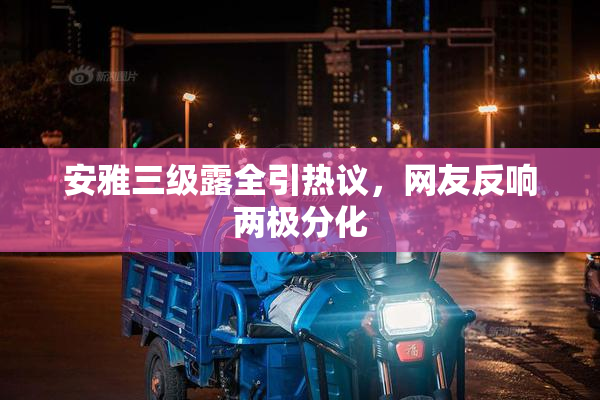 安雅三级露全引热议，网友反响两极分化