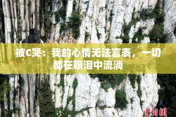 被C哭：我的心情无法言表，一切都在眼泪中流淌