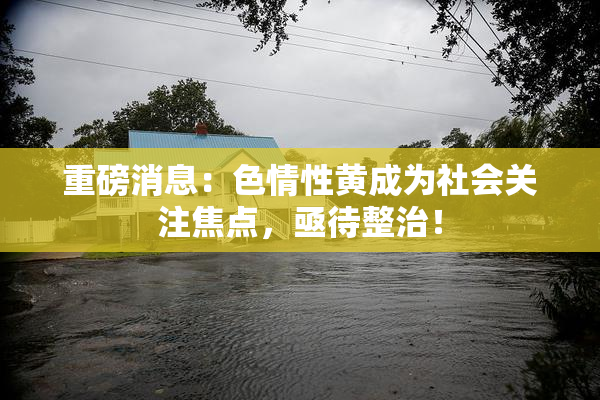 重磅消息：色情性黄成为社会关注焦点，亟待整治！