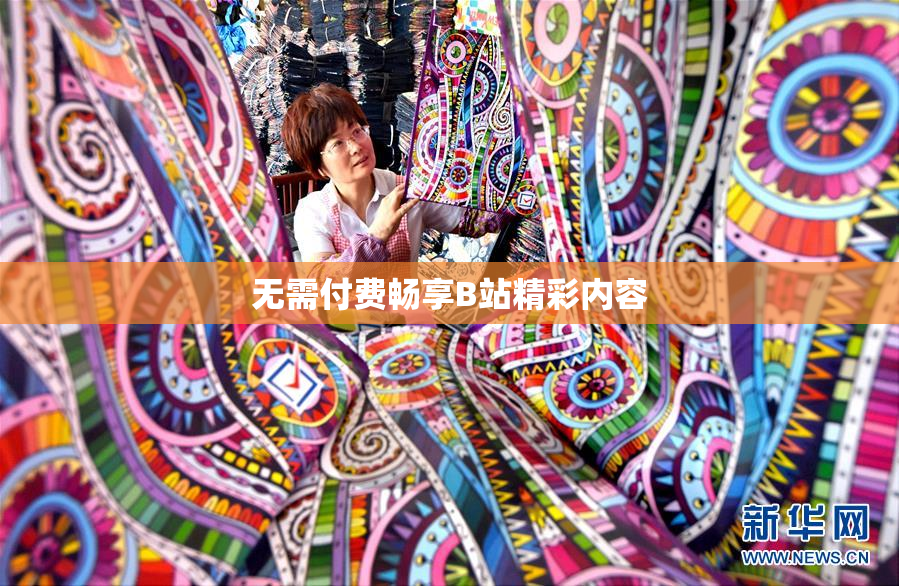 无需付费畅享B站精彩内容