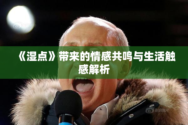 《湿点》带来的情感共鸣与生活触感解析