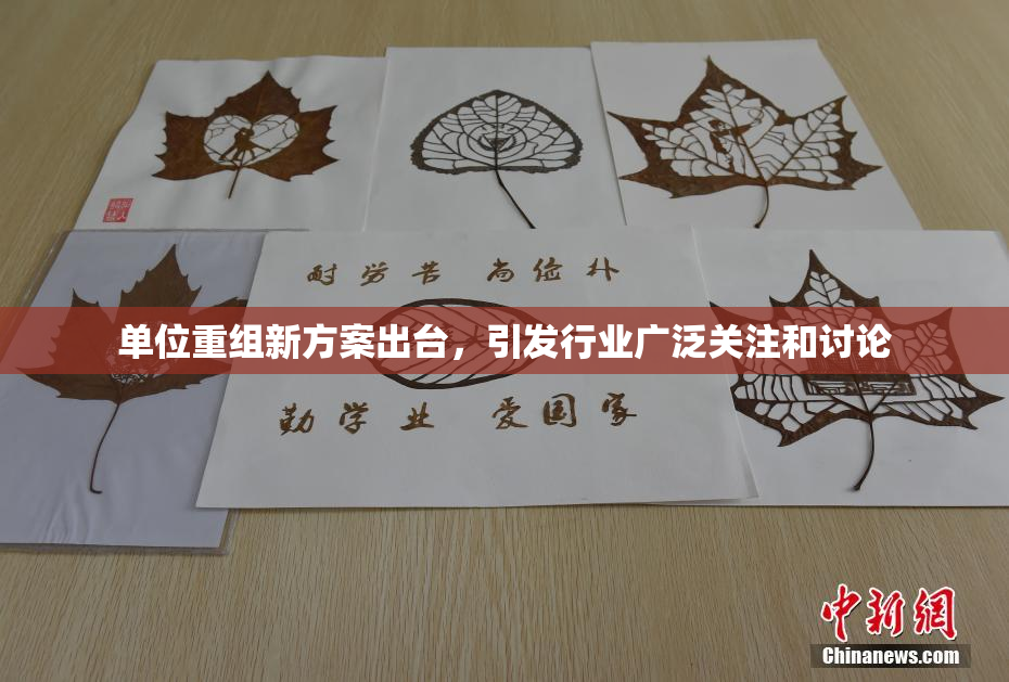 单位重组新方案出台，引发行业广泛关注和讨论