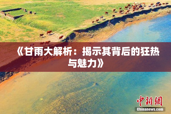《甘雨大解析：揭示其背后的狂热与魅力》