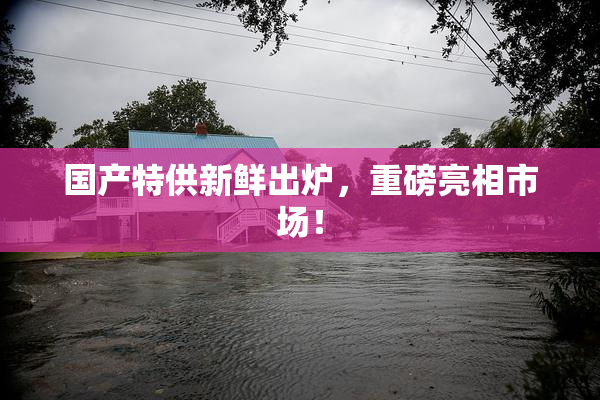 国产特供新鲜出炉，重磅亮相市场！