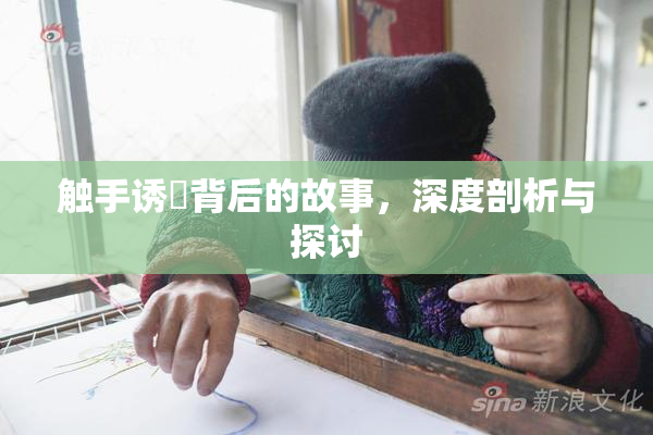 触手诱奷背后的故事，深度剖析与探讨