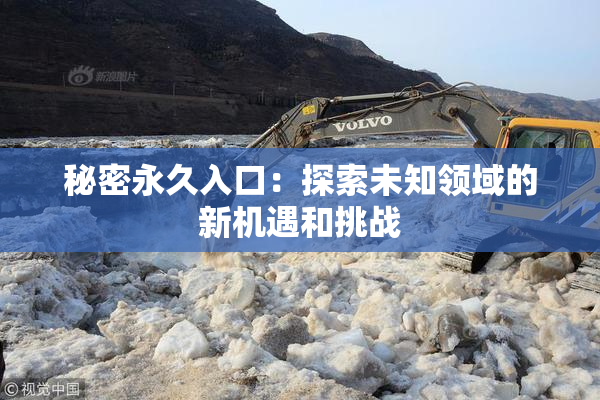 秘密永久入口：探索未知领域的新机遇和挑战