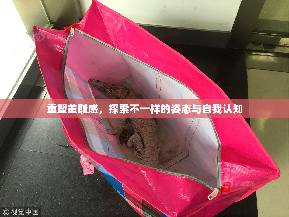 重塑羞耻感，探索不一样的姿态与自我认知