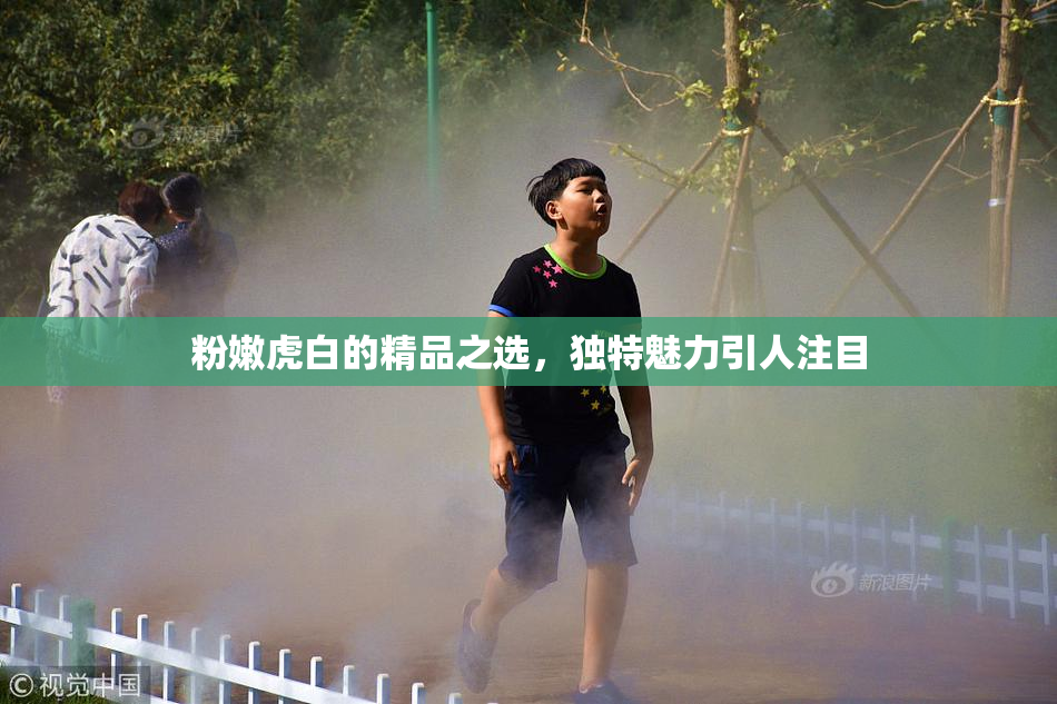 粉嫩虎白的精品之选，独特魅力引人注目