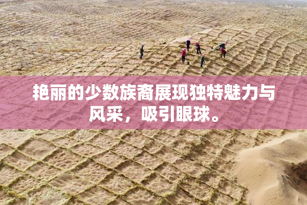 艳丽的少数族裔展现独特魅力与风采，吸引眼球。