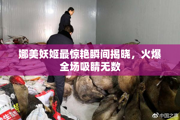 娜美妖姬最惊艳瞬间揭晓，火爆全场吸睛无数