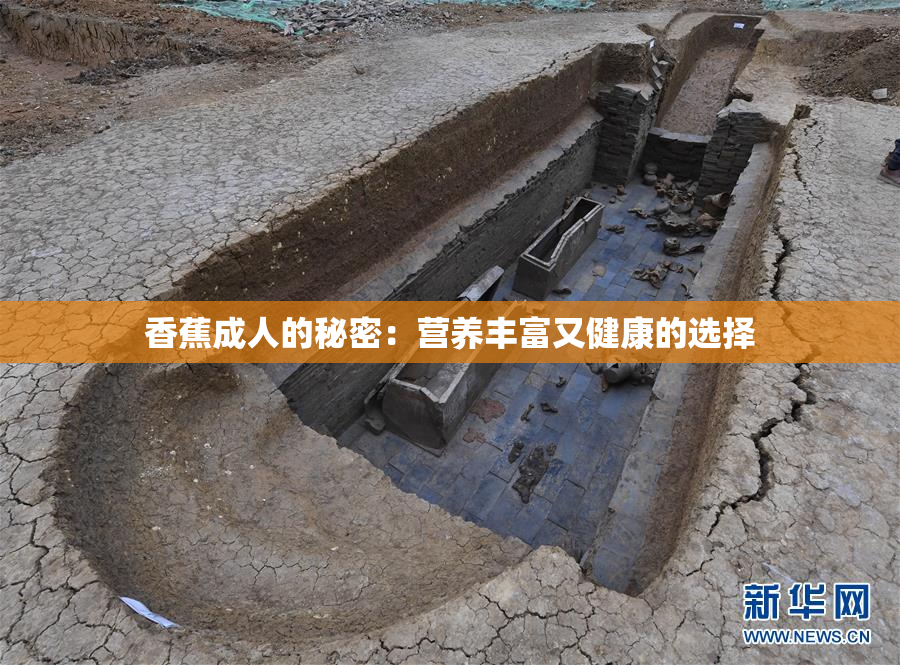 香蕉成人的秘密：营养丰富又健康的选择