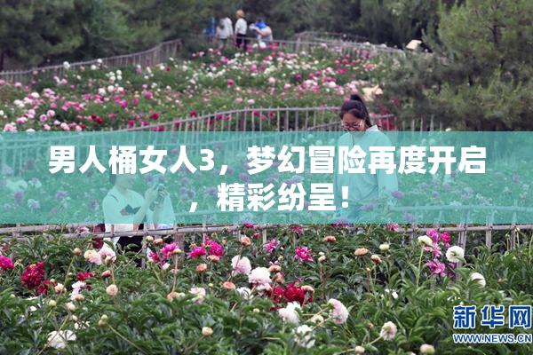 男人桶女人3，梦幻冒险再度开启，精彩纷呈！