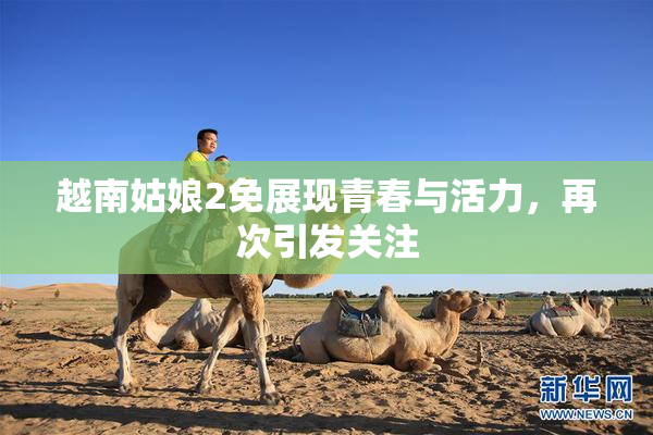 越南姑娘2免展现青春与活力，再次引发关注