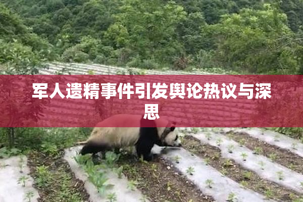 军人遗精事件引发舆论热议与深思