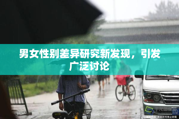 男女性别差异研究新发现，引发广泛讨论