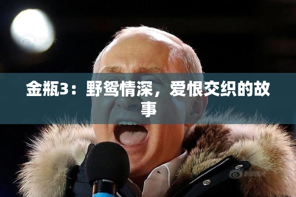 金瓶3：野鸳情深，爱恨交织的故事